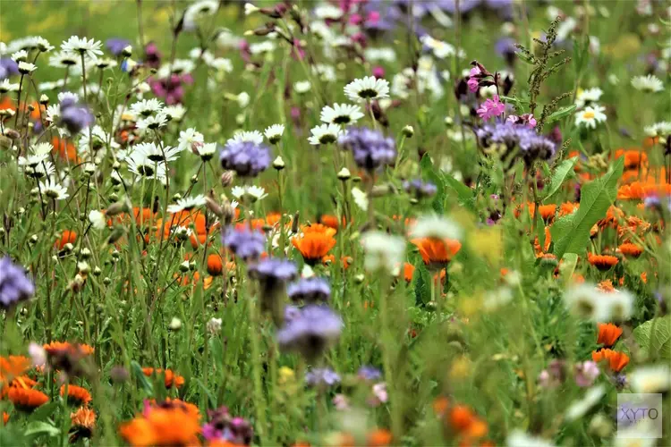 Subsidie voor biodiversiteit en waterkwaliteit op tuin- en landbouwgronden