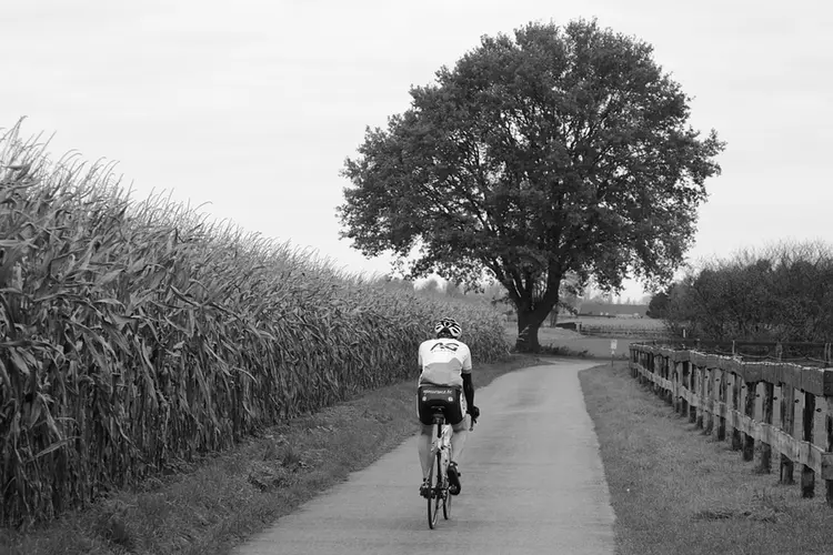 Dit zijn de Dordtse Sportuitblinkers van 2024!